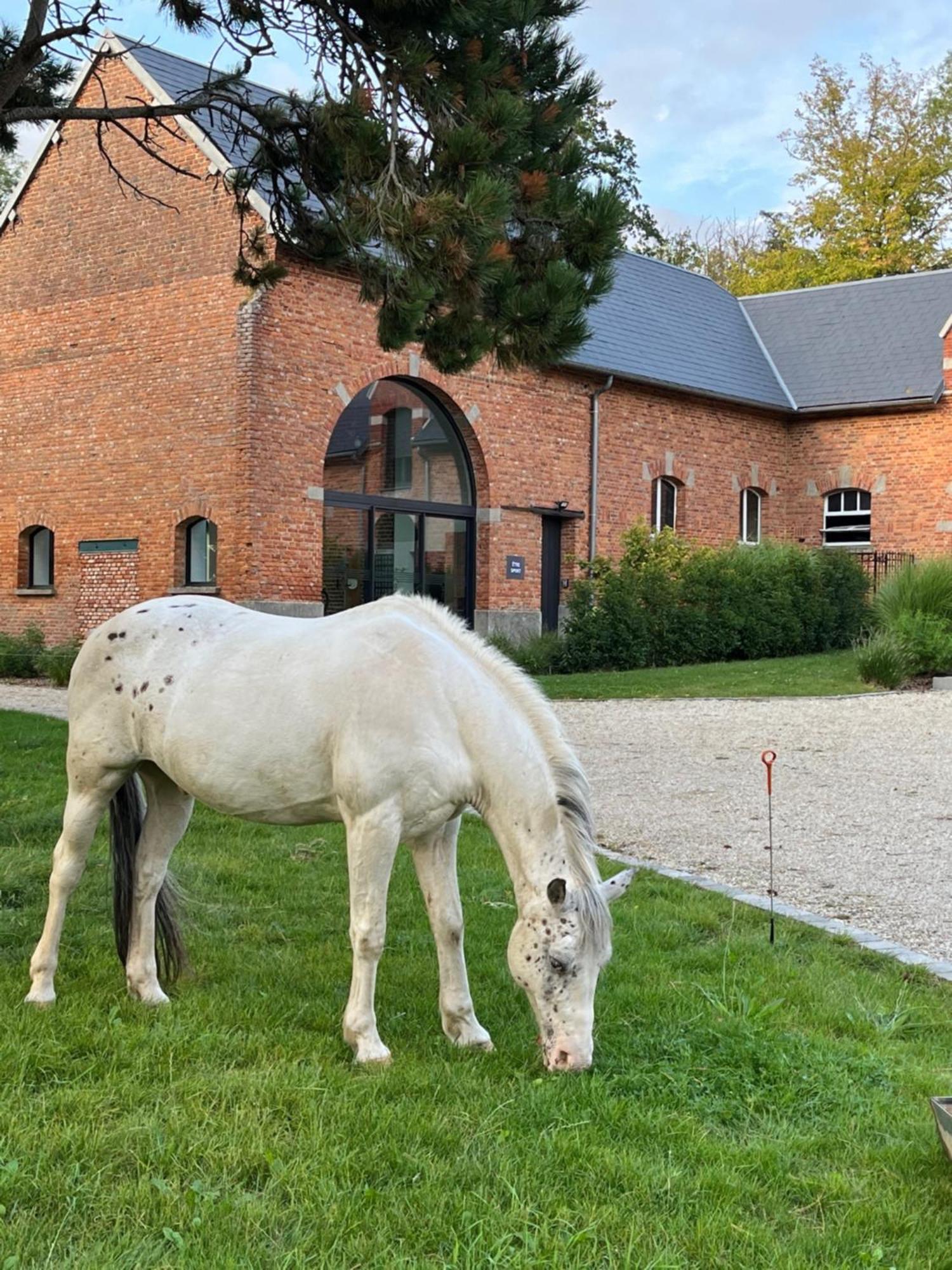 Aux Bois Dores De La Ferme De Sorval, Animaux De La Ferme, Fitness Selvigny Exterior foto